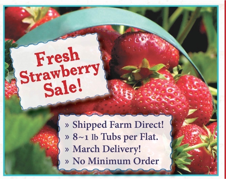 berries 